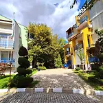 Elit1 Forrent סאני ביץ'