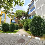 Elit1 Forrent סאני ביץ'