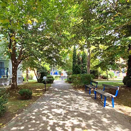 Elit1 Forrent
