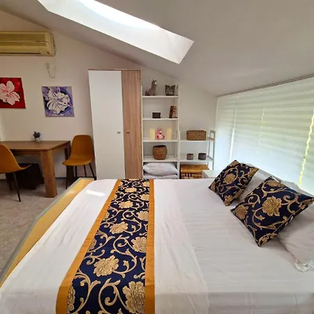 Elit1 Forrent Sunny Beach