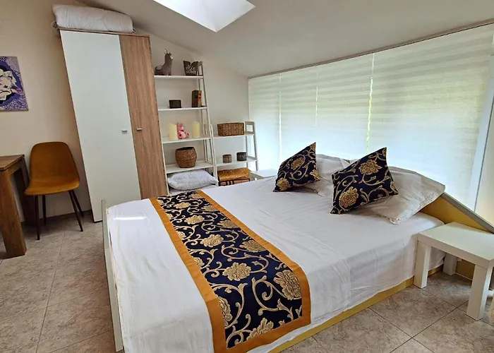 Elit1 Forrent Appartement