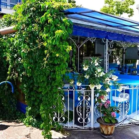 Elit1 Forrent